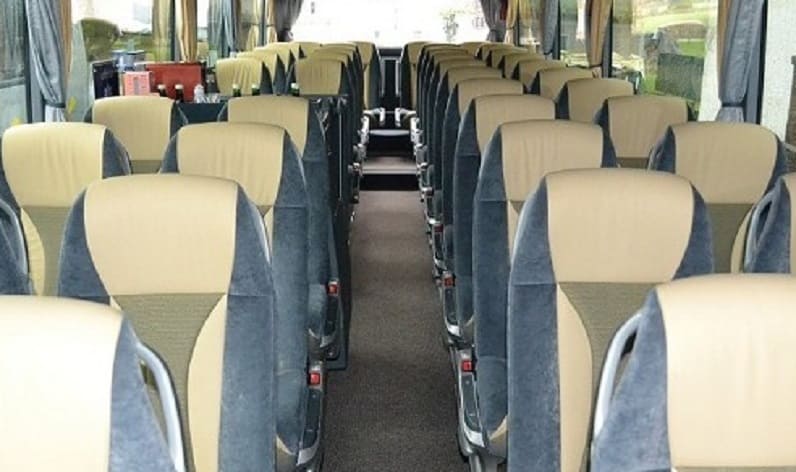 France: Coach operator in Brittany in Brittany and Saint-Malo